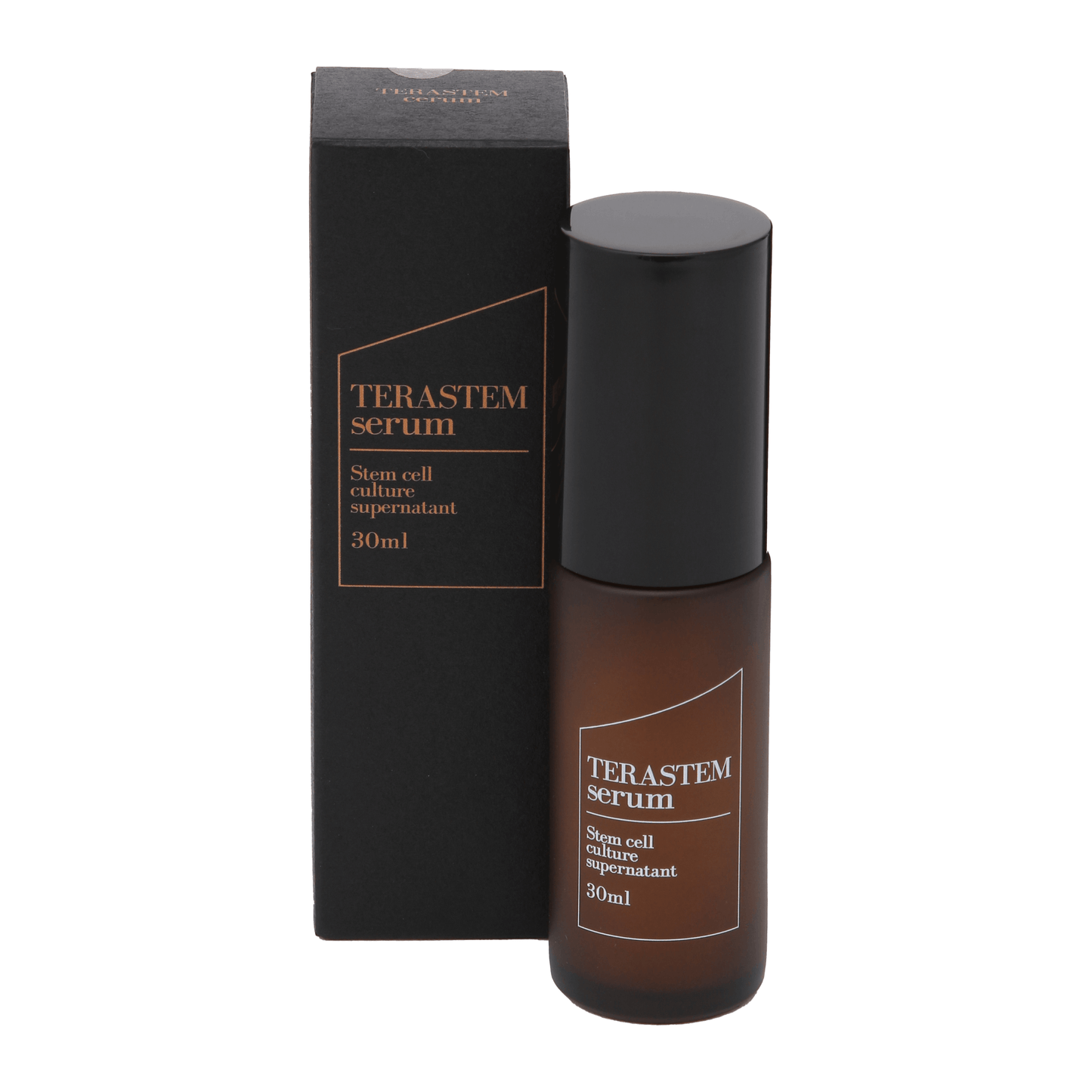 テラステム セラム 2個セット