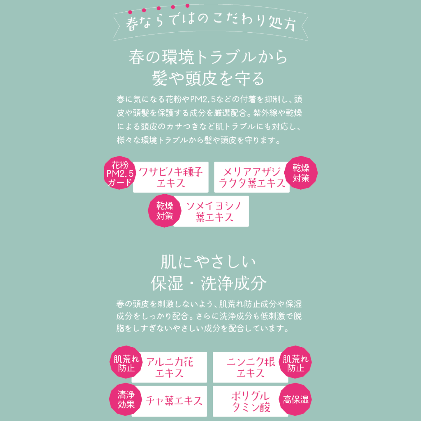 モエーシャンプー